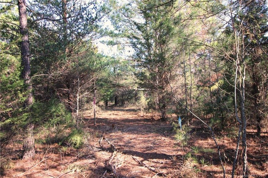 Nestled right outside the charming town of Clover, SC! This horizontal canvas is peppered with beautiful trees and ready for you to paint your next chapter on!  Once you've settled in your new chapter visit all that the communities of Clover and Lake Wylie have to offer! Steeped in historical beauty, fine dining, award winning schools and state of art parks and recreation!  Don’t miss this rare opportunity to own a portion of the town with “love” in the middle! More lots are available!