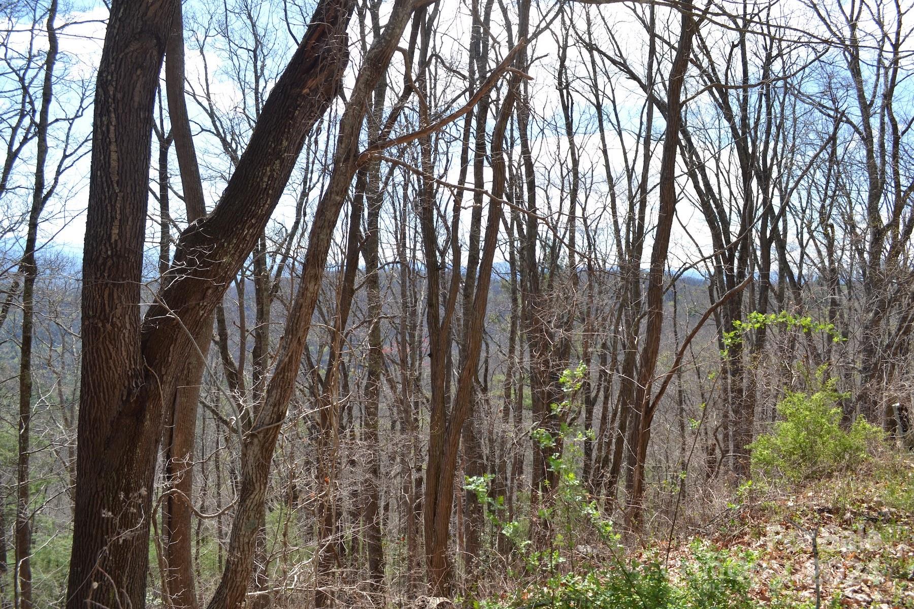 Lot 8 Town Mountain Road