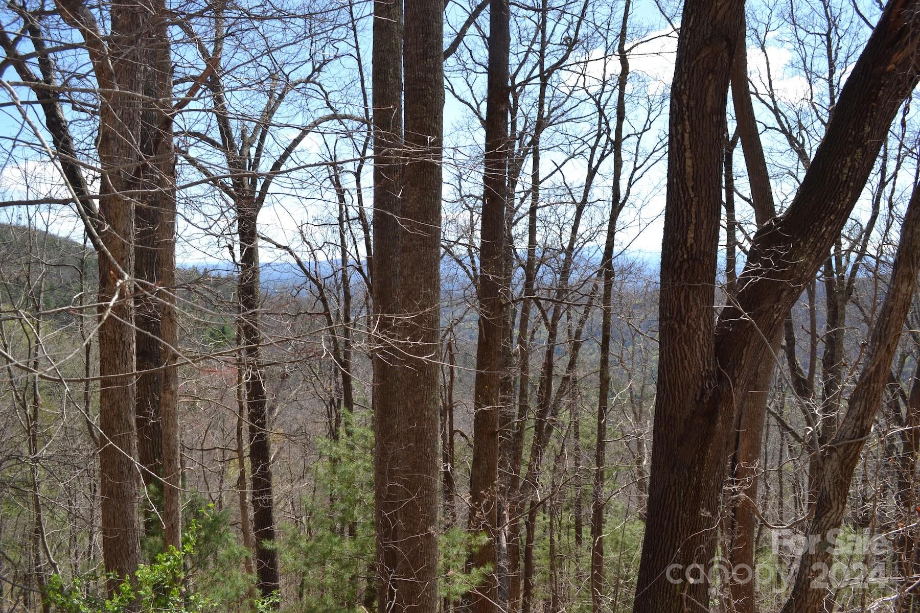Lot 8 Town Mountain Road