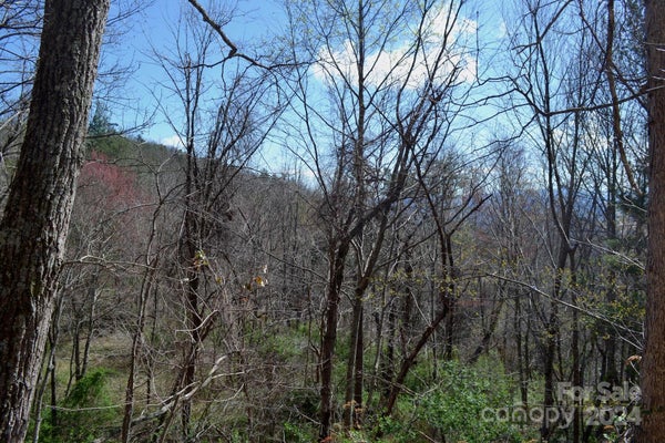 8 TOWN MOUNTAIN RD, ASHEVILLE, NC 28801 - Image e4eba1ca99a7cc95faab27a8f5dc6d0c/3711312341