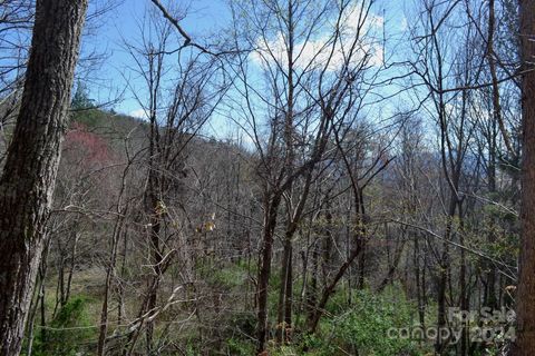 Lot 8 Town Mountain Road Asheville NC 28804