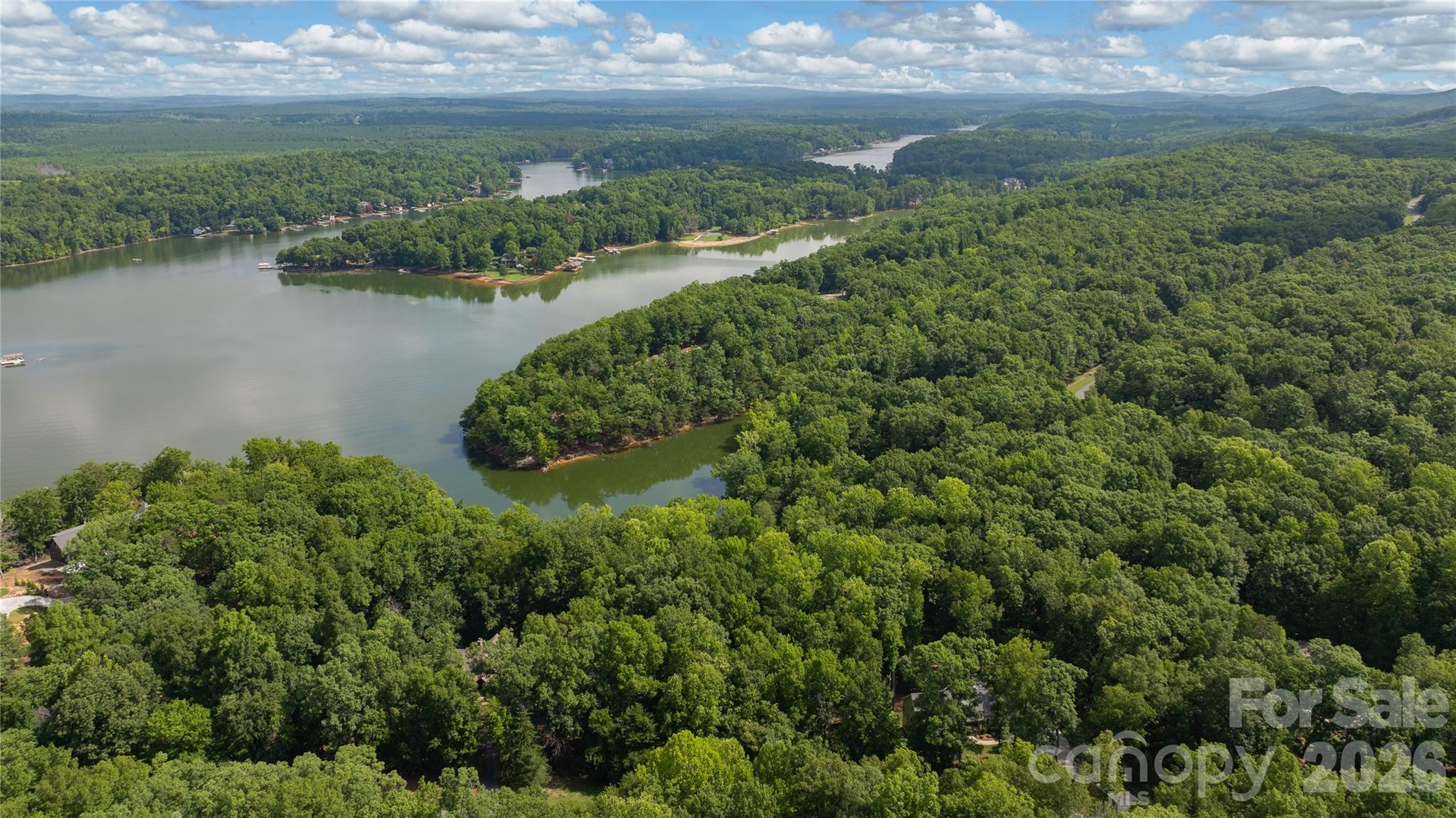 1006 Rocky Cove Lane 29