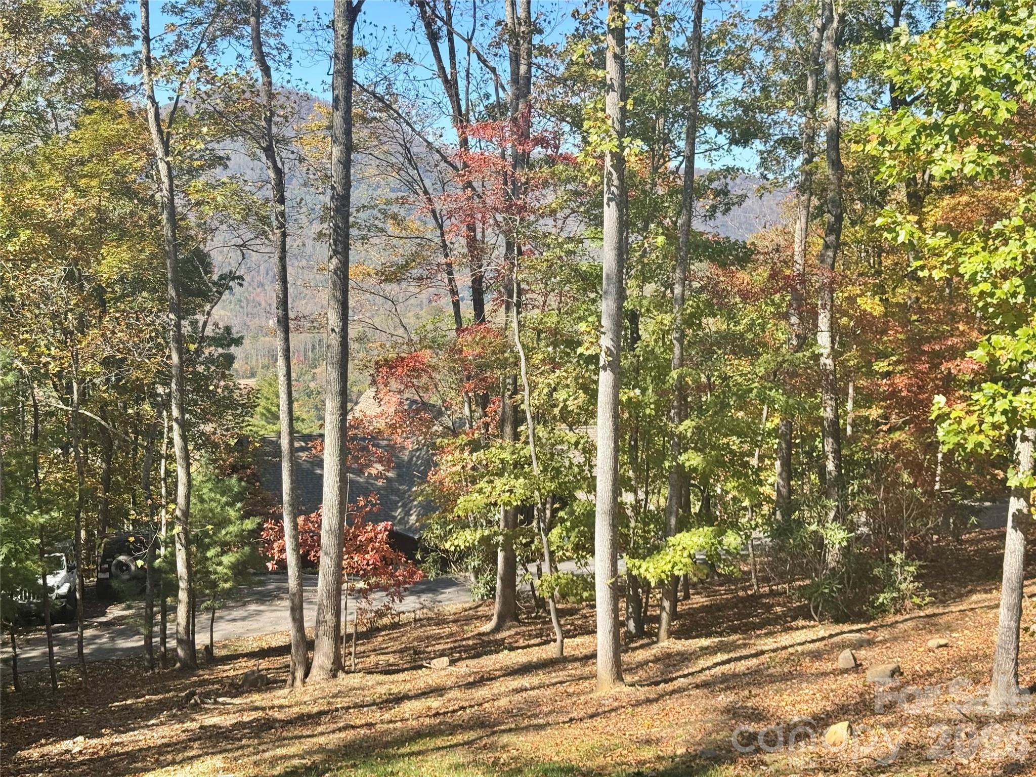 501 Sugar Maple Lane