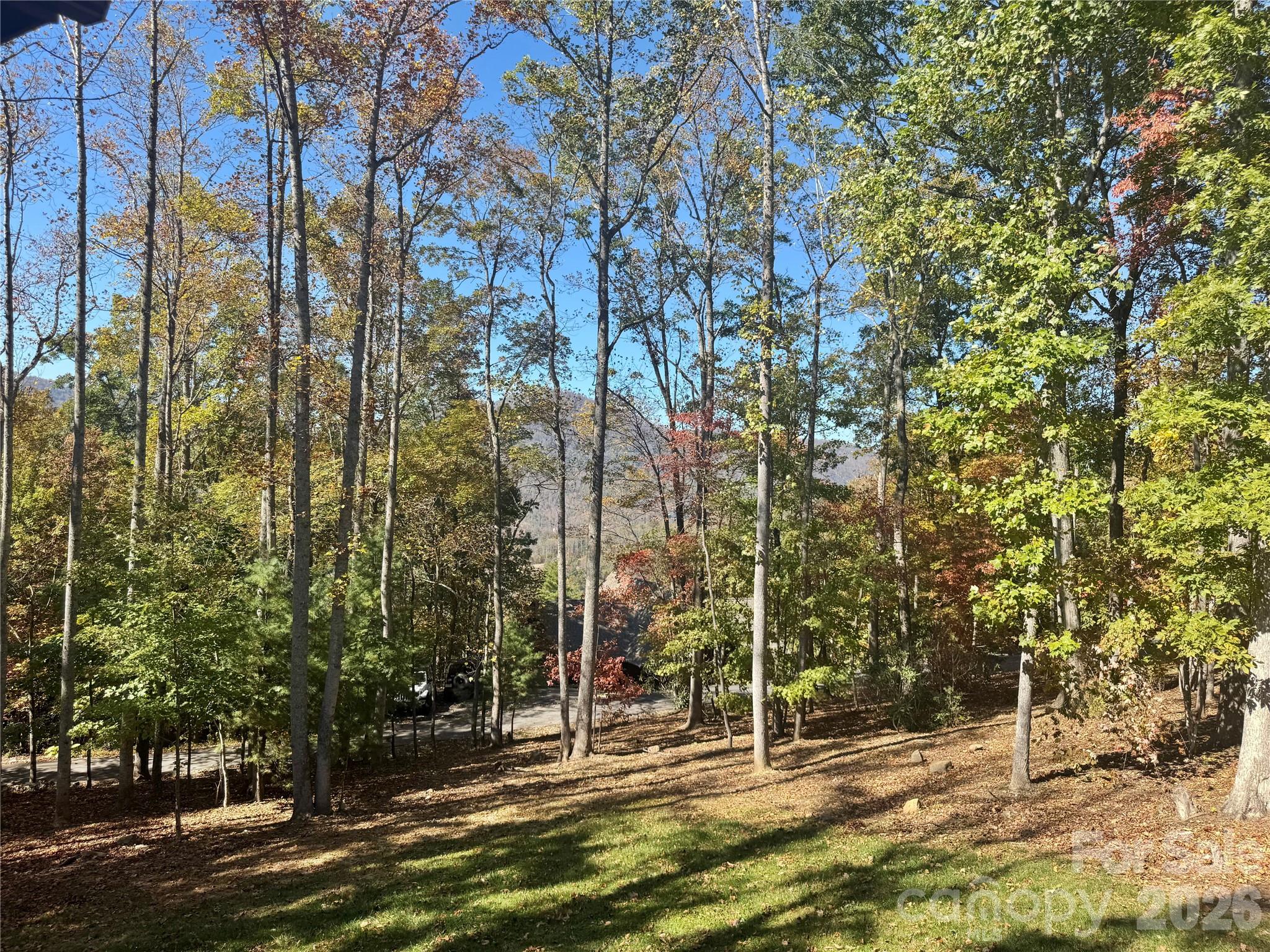 501 Sugar Maple Lane