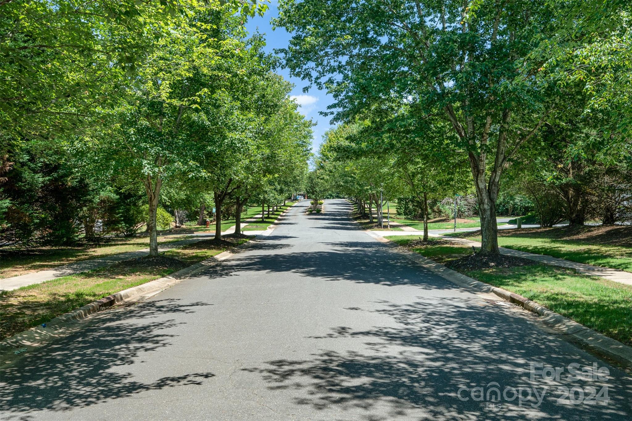 Alma Village - Residential