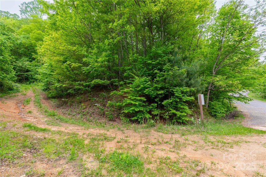 Discover your mountain sanctuary in the serene Mount Soma community in Clyde, NC. This 2.26-acre corner lot, with frontage on both Mount Soma Boulevard and Padma Lane, offers the perfect setting to create your dream home. Property has a driveway and build site that just need to be re-cleared for use, and year round long-range mountain views! Adjacent to peaceful walking and hiking trails, the lot invites you to connect with nature and embrace a tranquil lifestyle. Imagine building a home in the timeless Vedic architecture style, blending seamlessly into the natural beauty of this holistic community. Though tucked away in the mountains, this lot is conveniently located just 25 minutes from Waynesville and 45 minutes from Asheville, giving you easy access to local amenities, culture, and dining. This is your chance to build the mountaintop retreat you’ve always envisioned, in a community that nurtures peace, balance, and well-being.