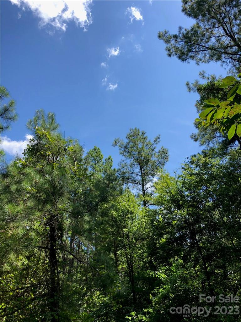 Osprey Pointe - Land