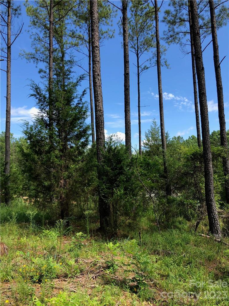 Osprey Pointe - Land