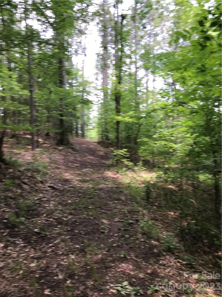 Osprey Pointe - Land