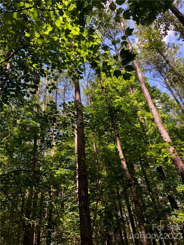 Osprey Pointe - Land