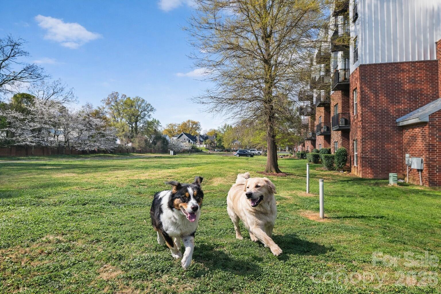 NoDa Landing Condominiums - Residential