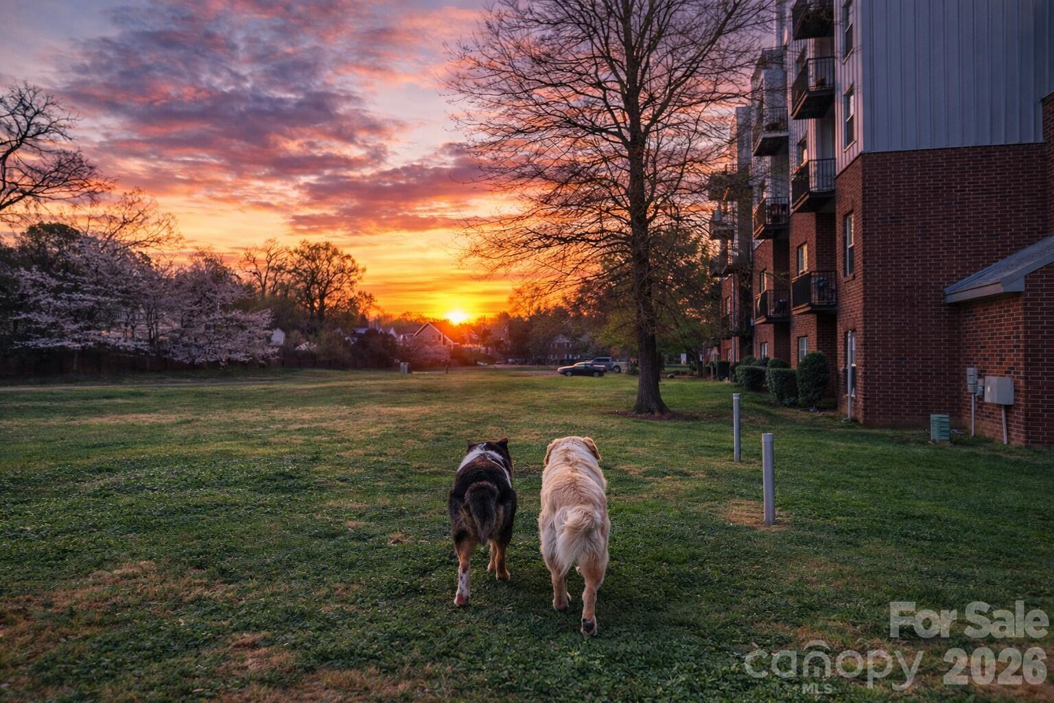 NoDa Landing Condominiums - Residential