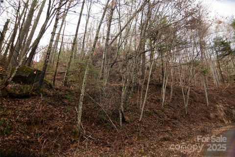 00 Green Ridge Falls Road Barnardsville NC 28709