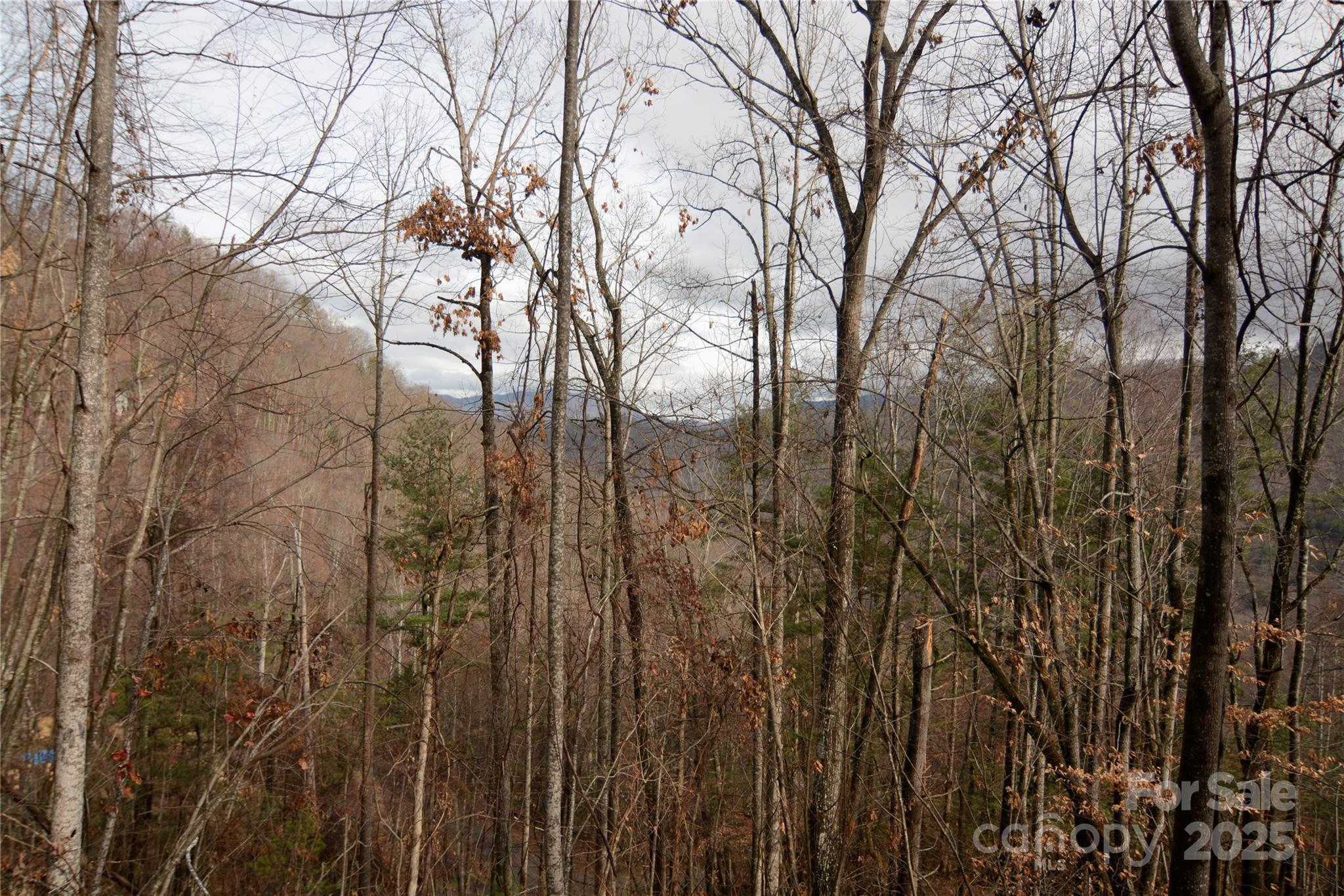 00 Green Ridge Falls Road