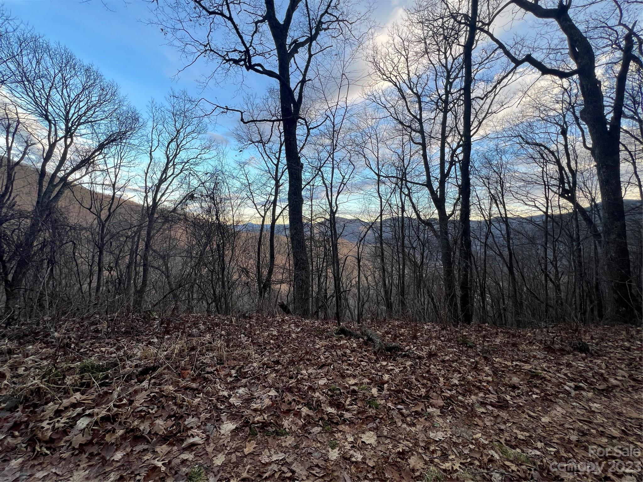Lot 9 Buck Mountain Road 9