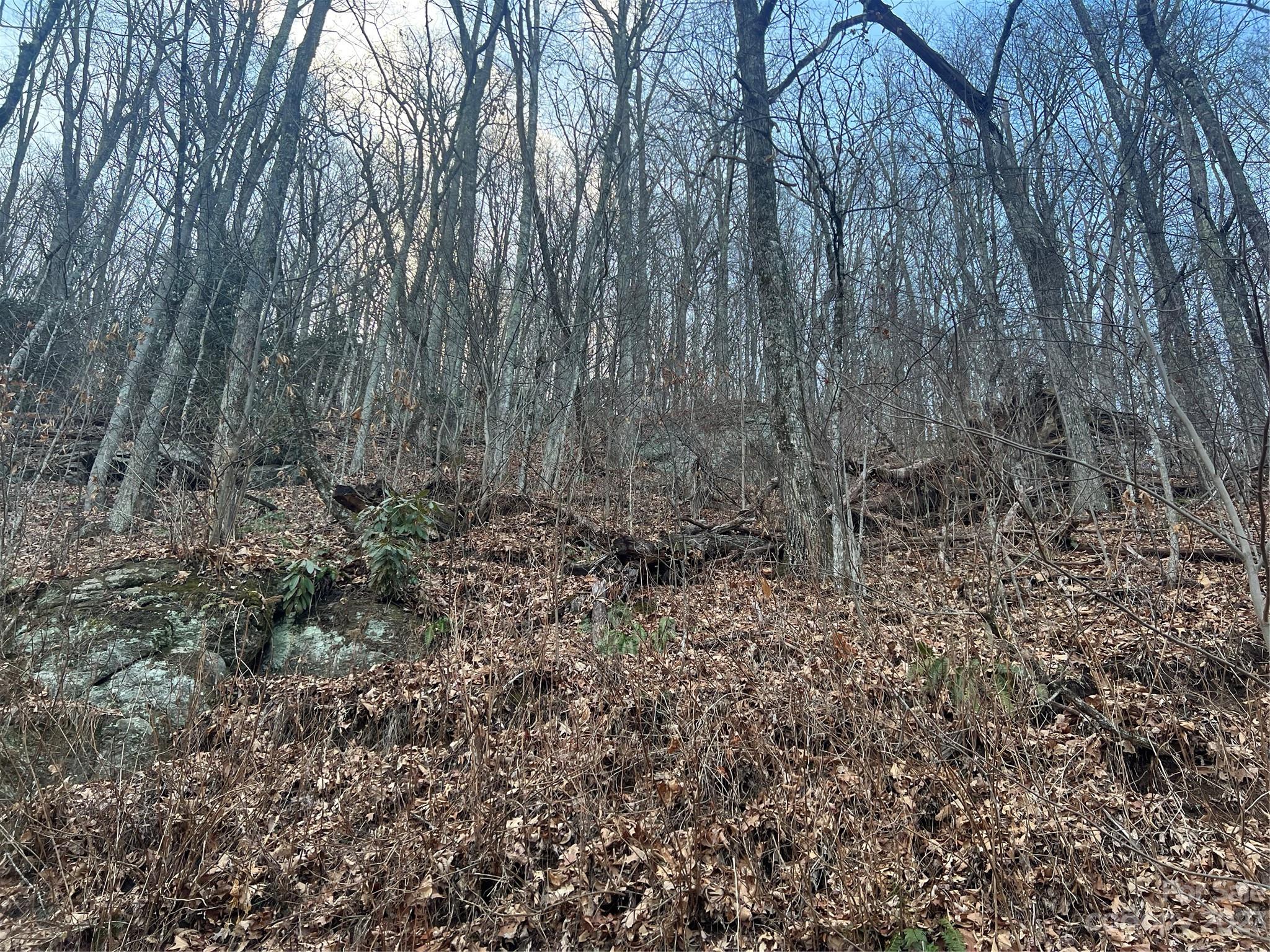Lot 9 Buck Mountain Road 9