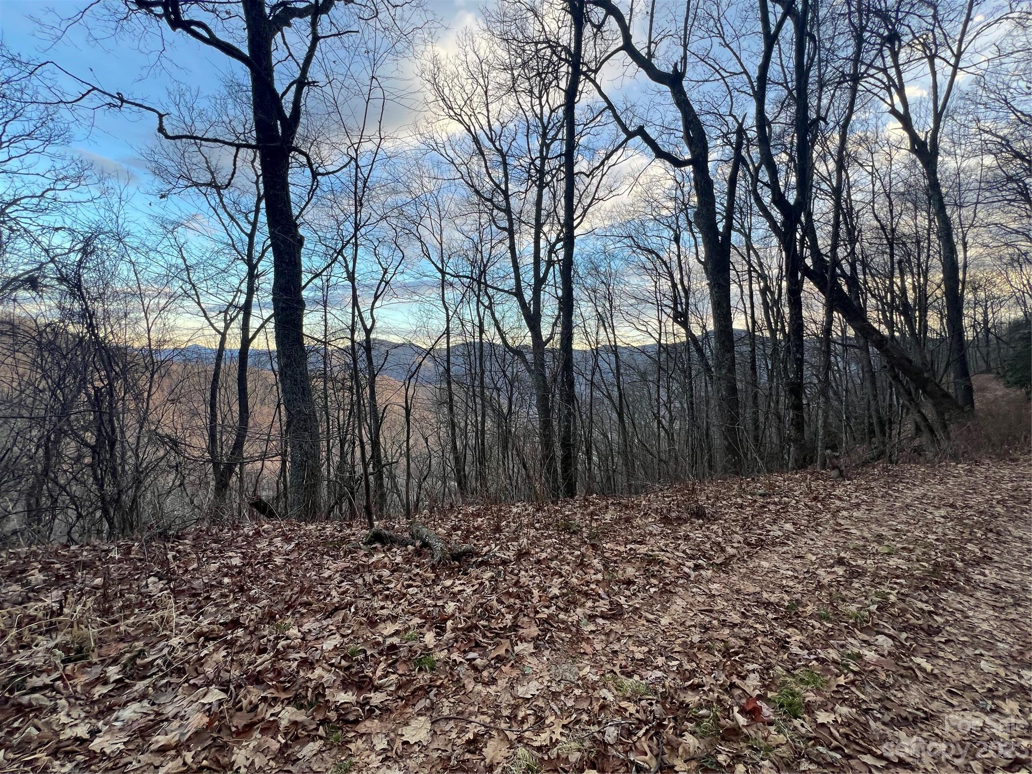 Lot 9 Buck Mountain Road 9