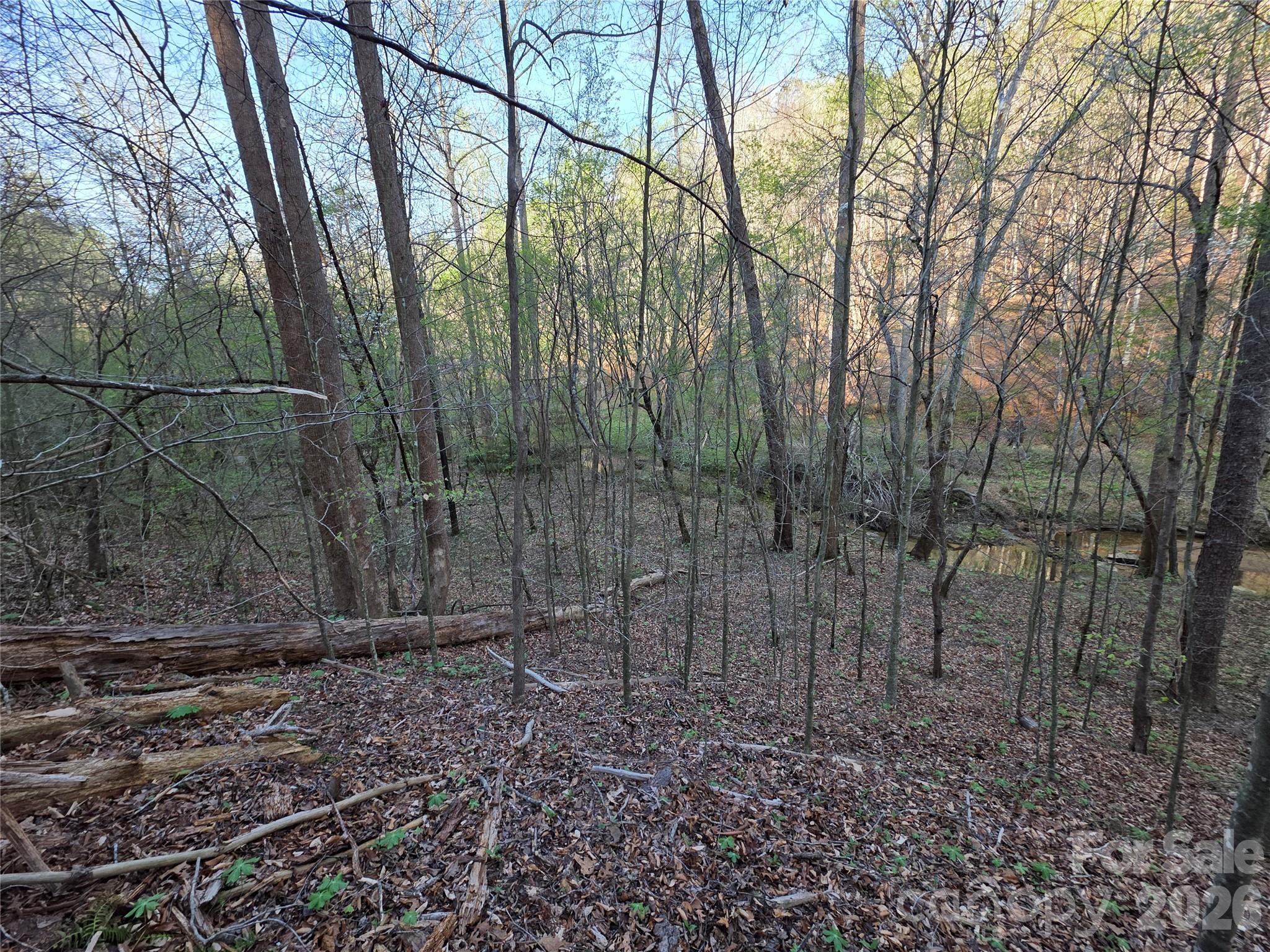 00 Mountain Creek Way