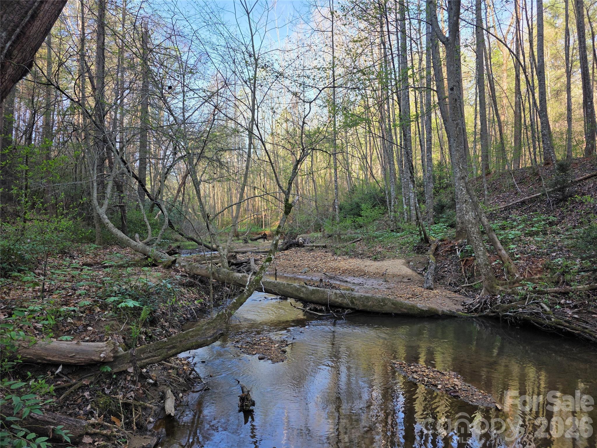 00 Mountain Creek Way