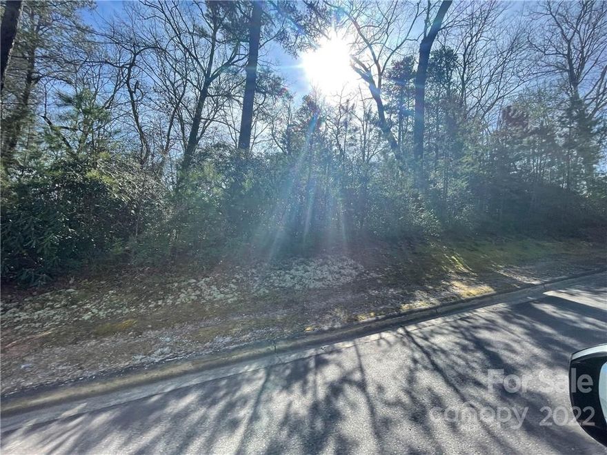 Easy build gentle lot on the lower section of Straus. Enjoy the community lake, clubhouse, pool, clay tennis courts, and green space with trails. Great location with access to city multi-use path system across from the community, mins from Pisgah National Forest, Downtown Brevard, and Transylvania Regional Hospital. Also in the front section of the community are two commercial sections with banks, dentists, veterinarians, a grocery store, attorney offices, and more.