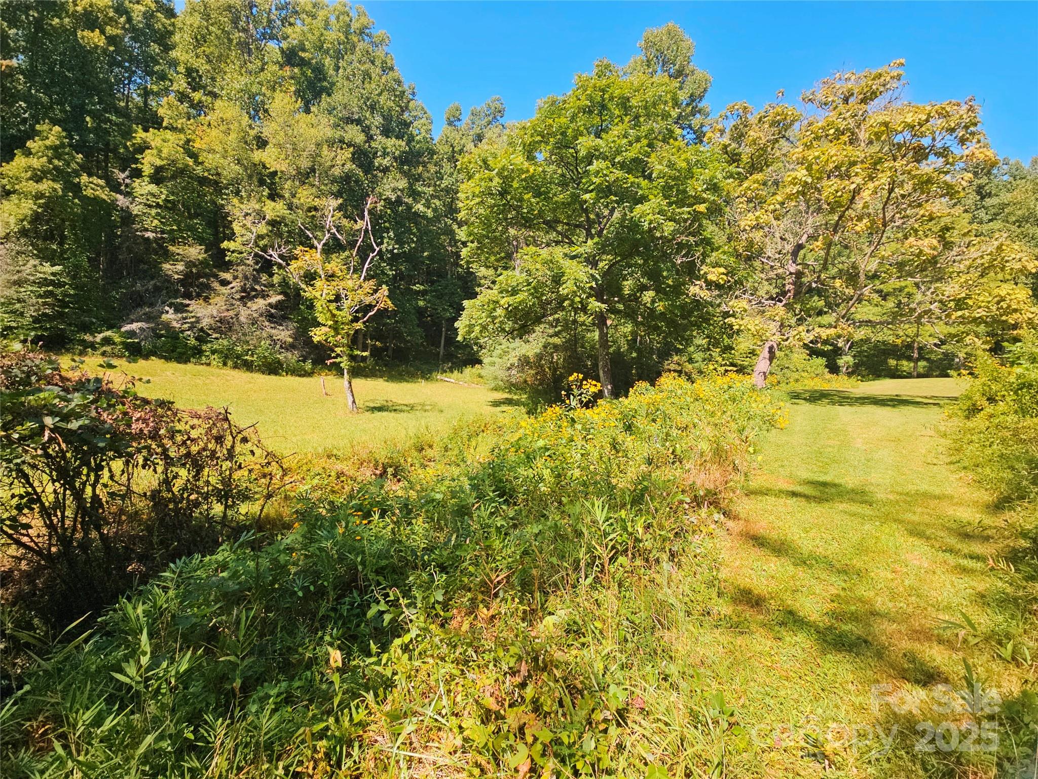 Camp 3 Long Branch Road