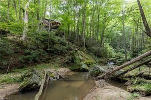 1612 Fall Creek Road