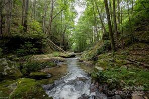 1612 Fall Creek Road