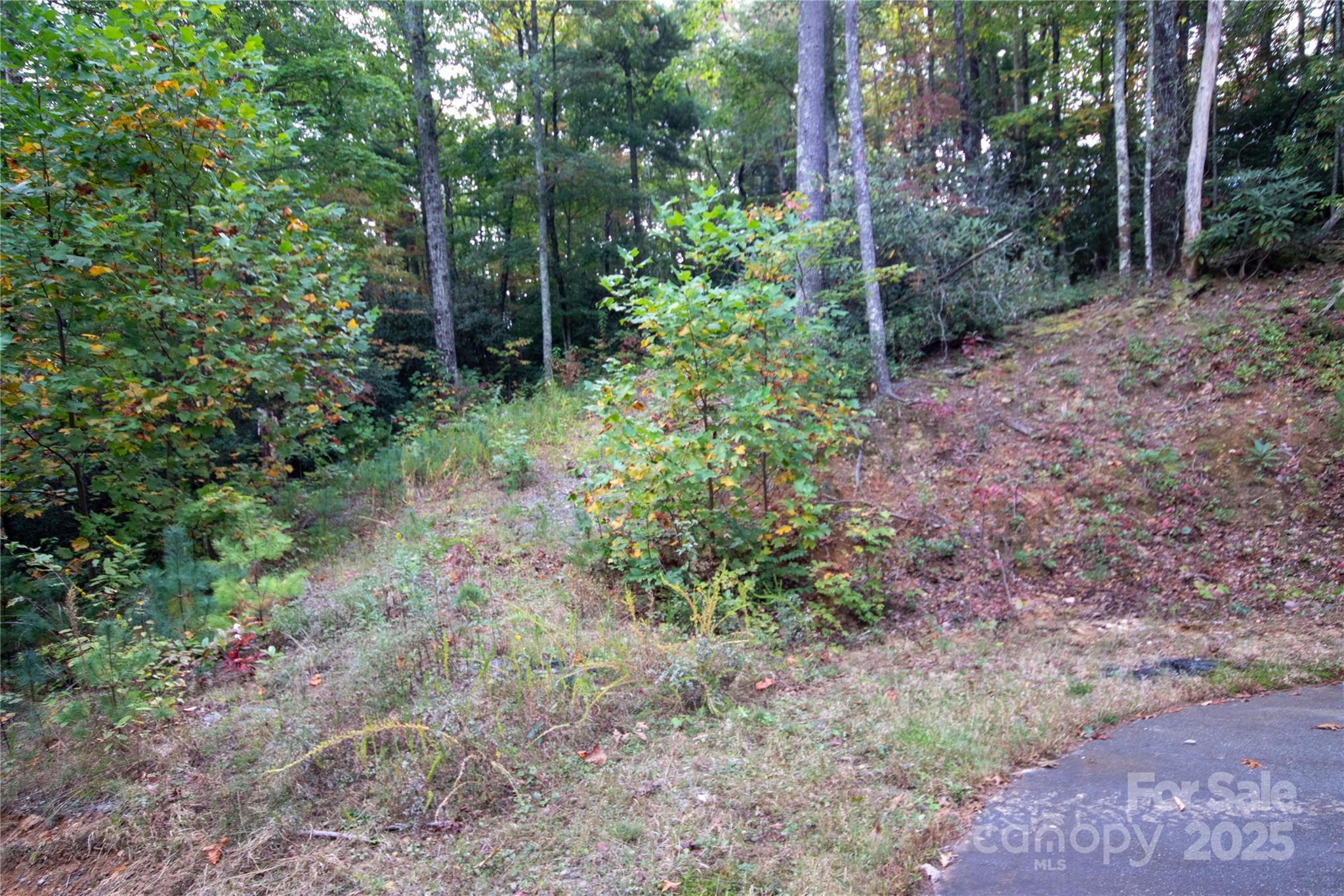 Lot# 594 Timberline Drive 594