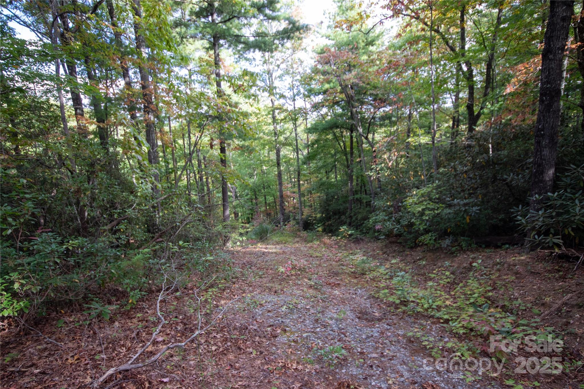 Lot# 594 Timberline Drive 594