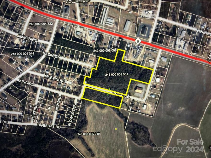 Nice wooded 19.80 acres located in the town of Cheraw.  Situated between Trade Road and US Hwy 9. This one Parcel consist of 2 parts which one part is 4.5 acres and the other with 14 acres which offers enormous potential.  Ideal for a private home site with surrounding acreage for privacy and recreation use. Road frontage includes 850 ft  on Trade Rd.  Portions of this parcel show "Wetlands "but cannot confirm until a current survey is completed but does have high ground areas for development. Please see "agent Remarks" for more details and buyer Agents are advised to reverify.