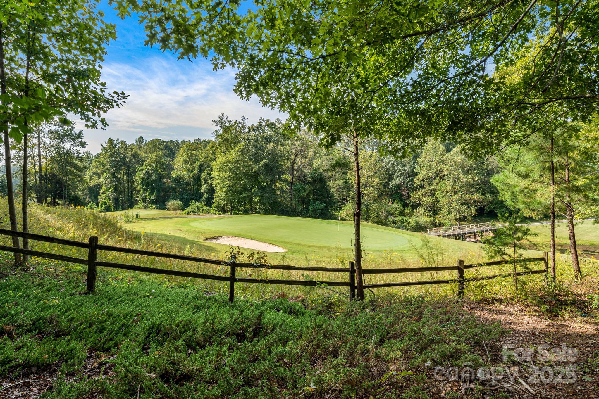 Rumbling Bald on Lake Lure - Residential