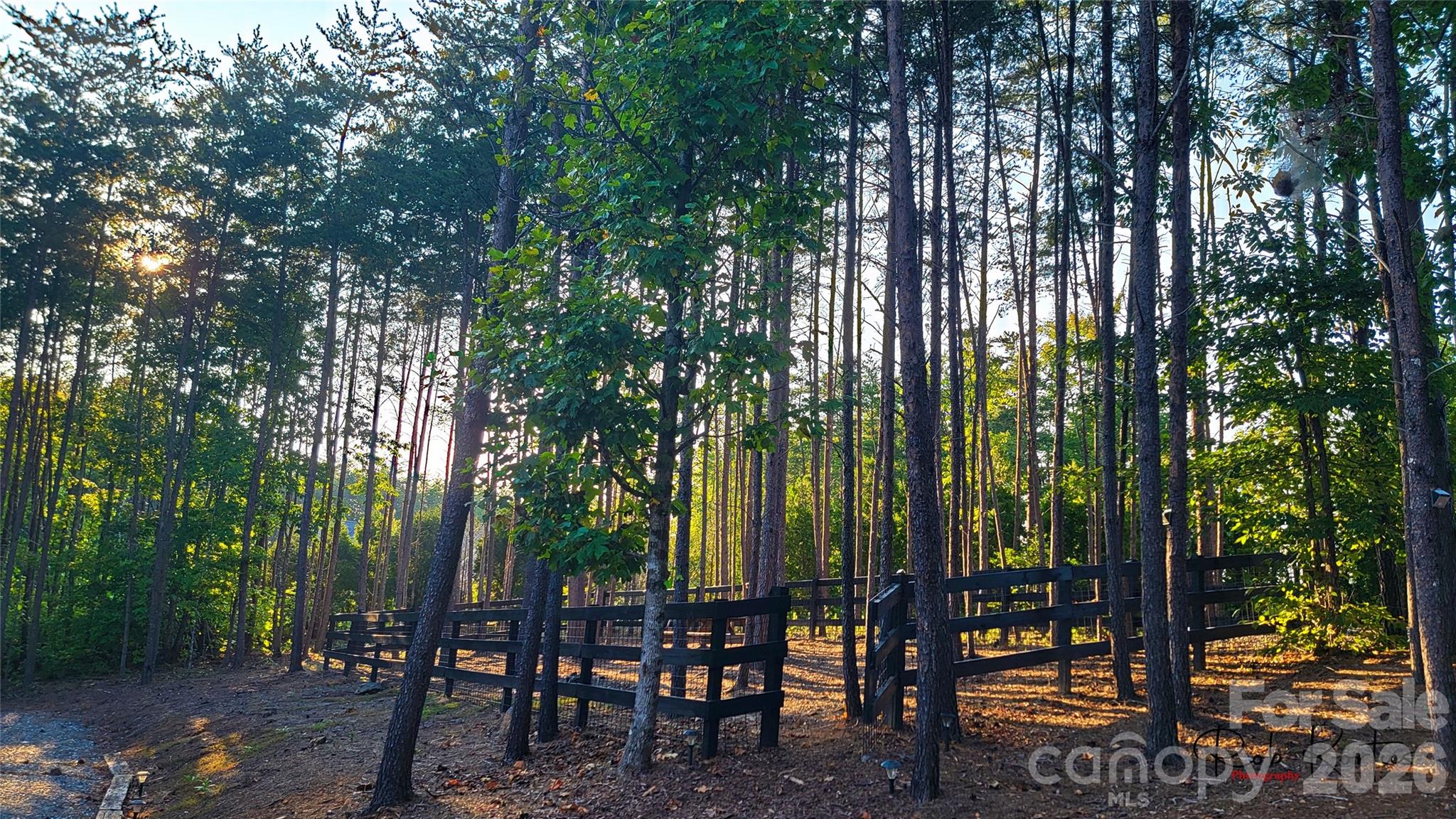 The Coves Mountain River Club - Residential