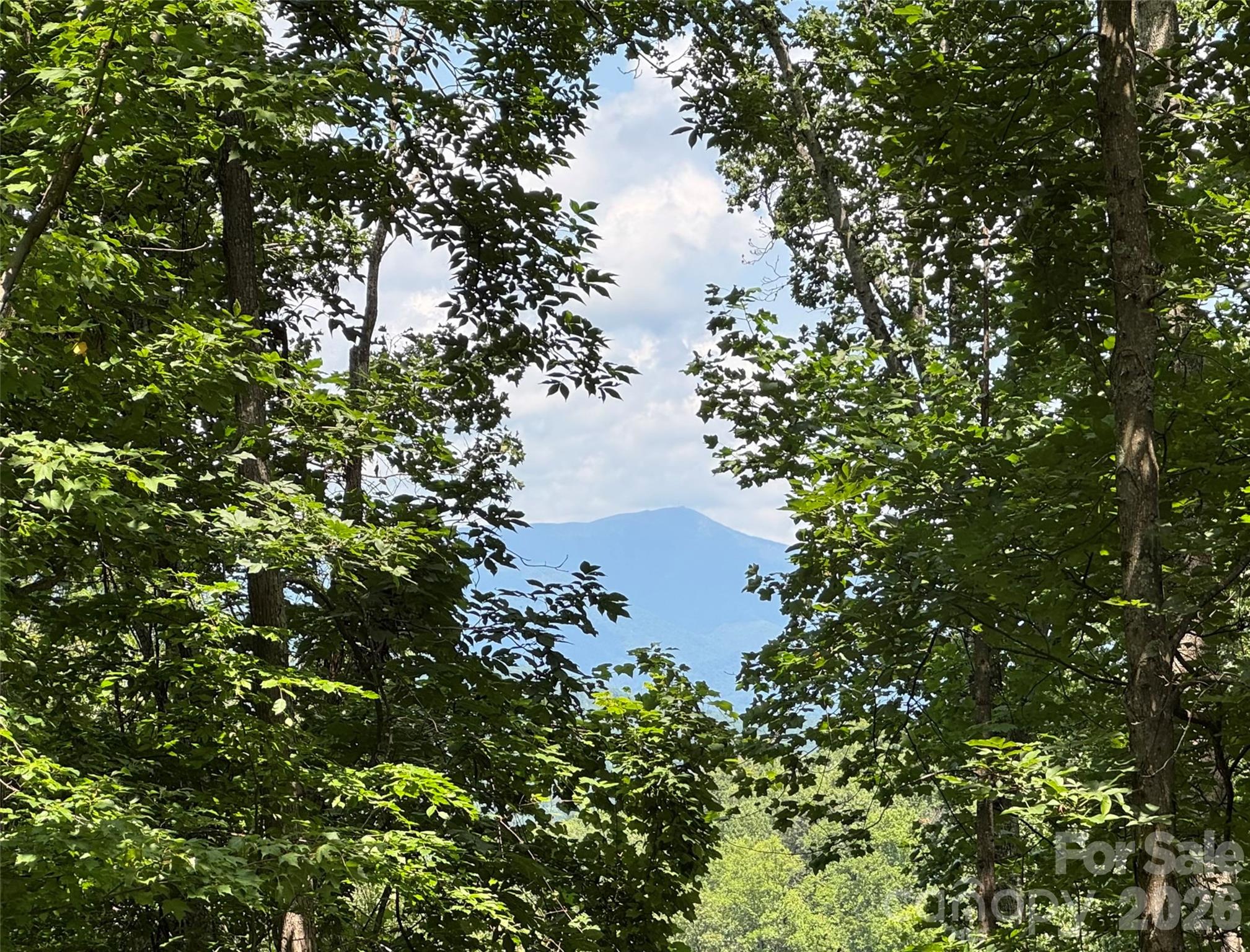 97 High Hickory Trail 2