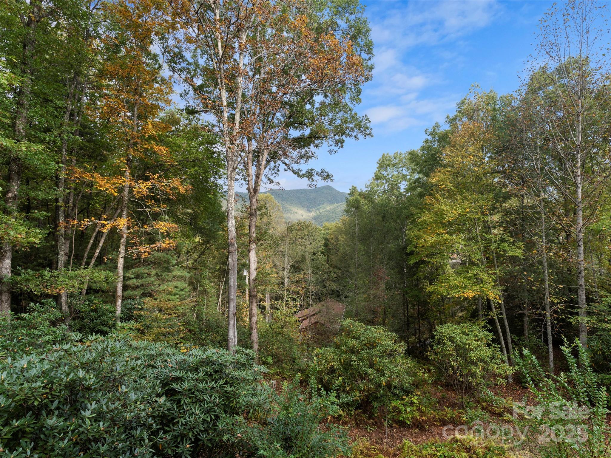 Ivy Ridge - Residential