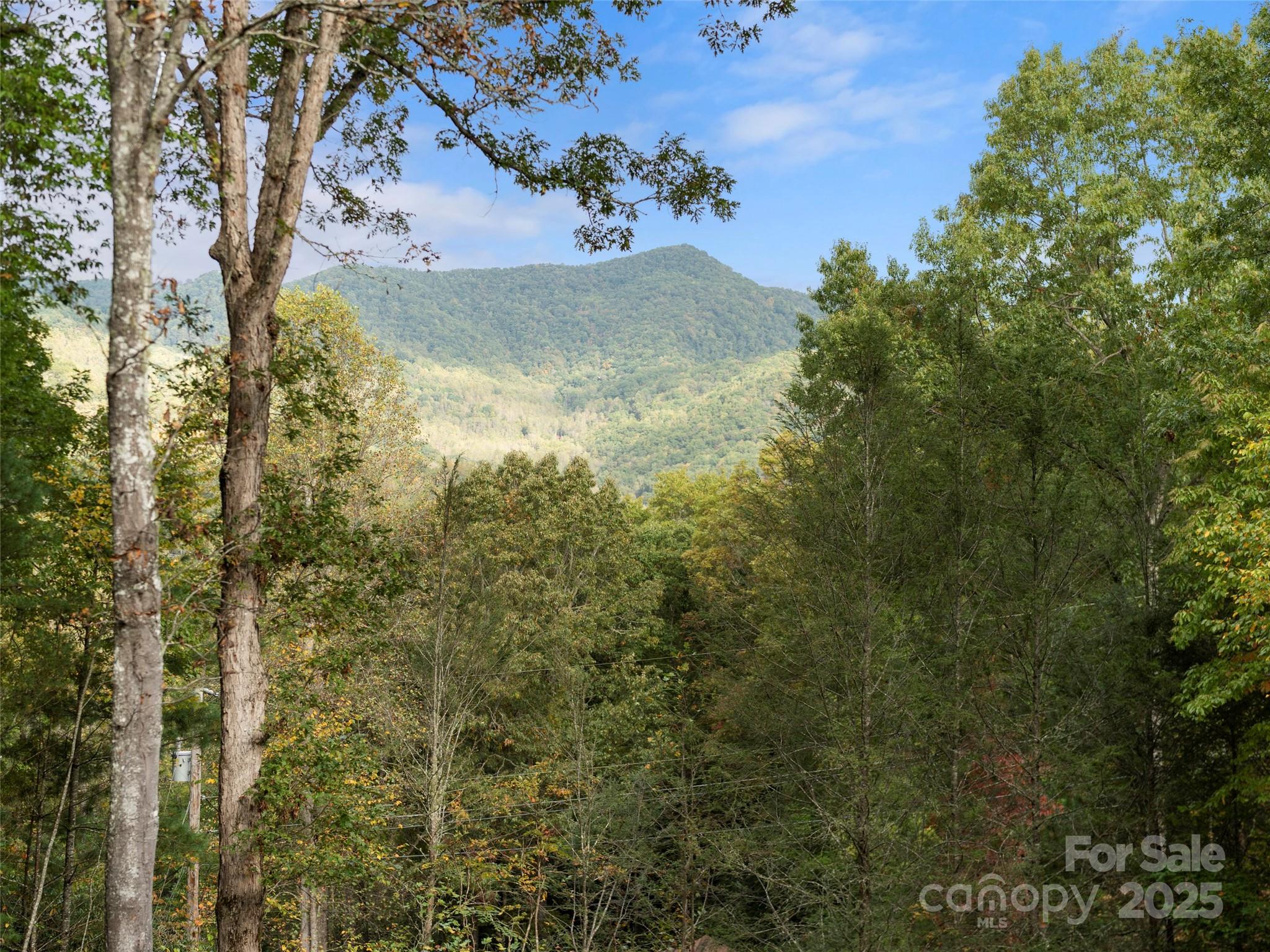 Ivy Ridge - Residential