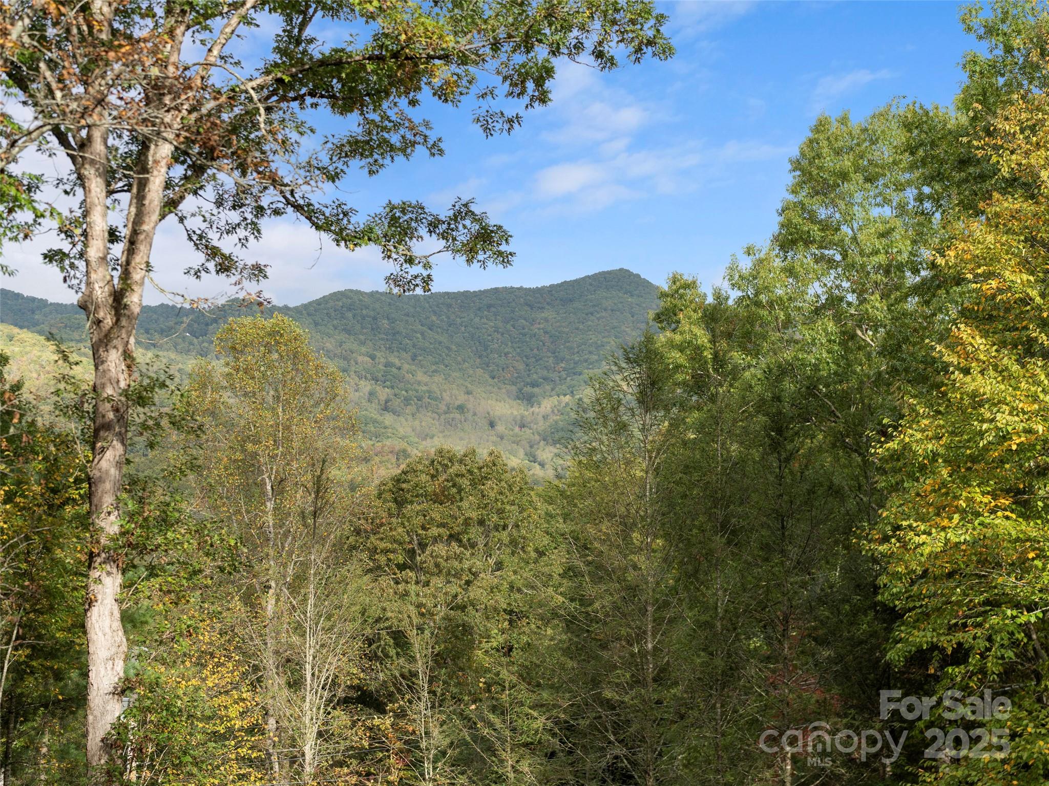 Ivy Ridge - Residential