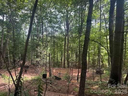 210 GOBBLER CIR # 19, HORSE SHOE, NC 28742 - Image e5aa19142e0e90bfc5037a5ea3ef578b/651283209