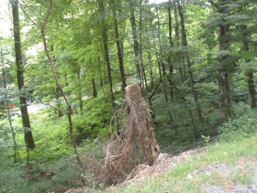 Beautiful Brannon Forest location on a quiet side street.  Build on a basement with your main level at street level. Paved streets, city sewer, shared wells and part of Town of Maggie Valley.