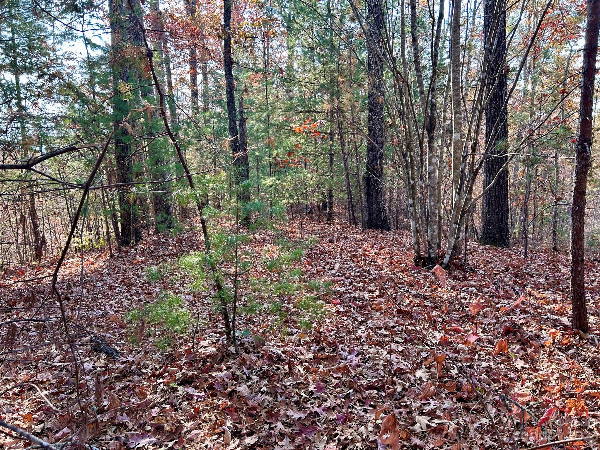 Fontana Lake Estates - Land