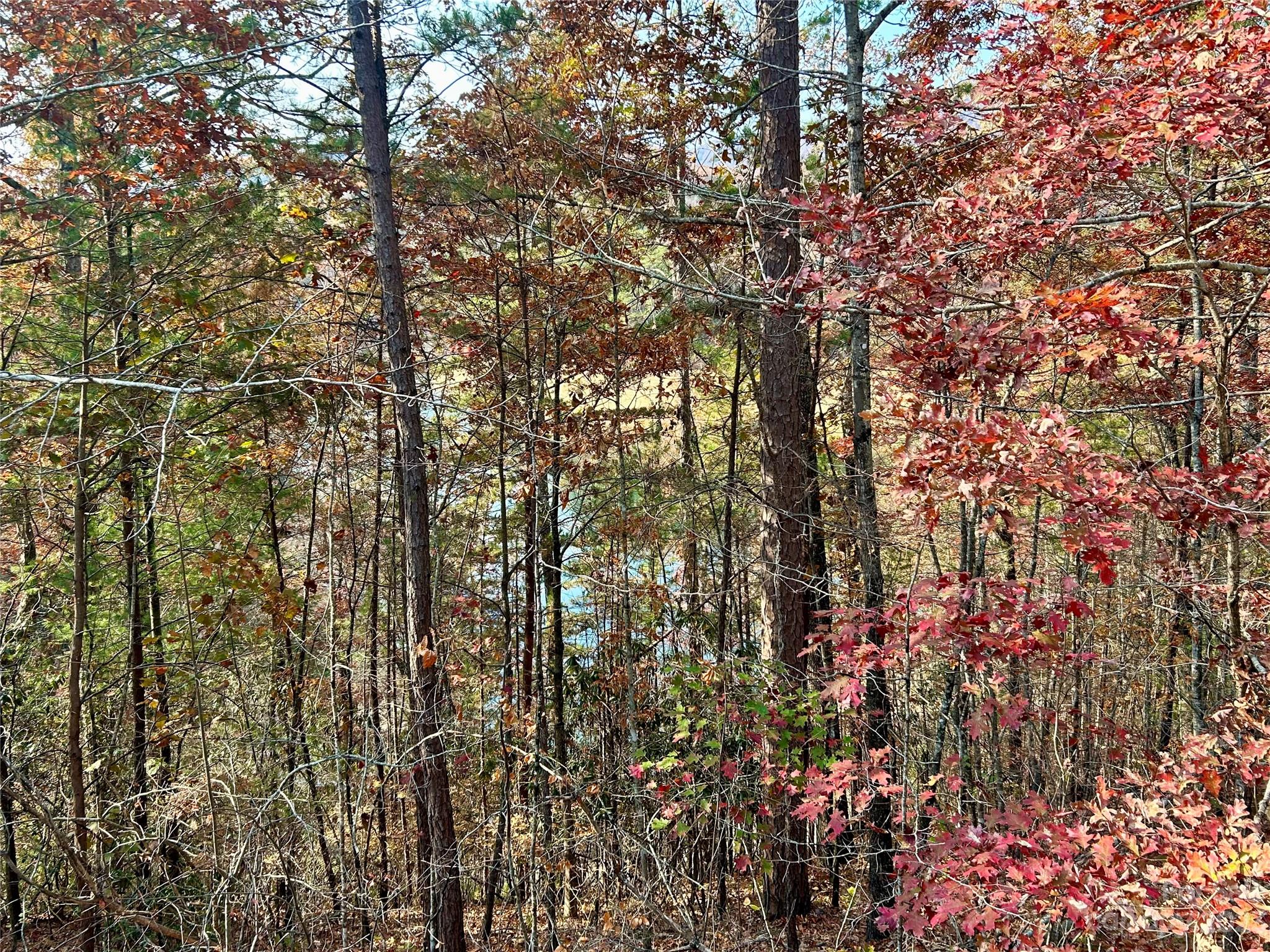 Fontana Lake Estates - Land