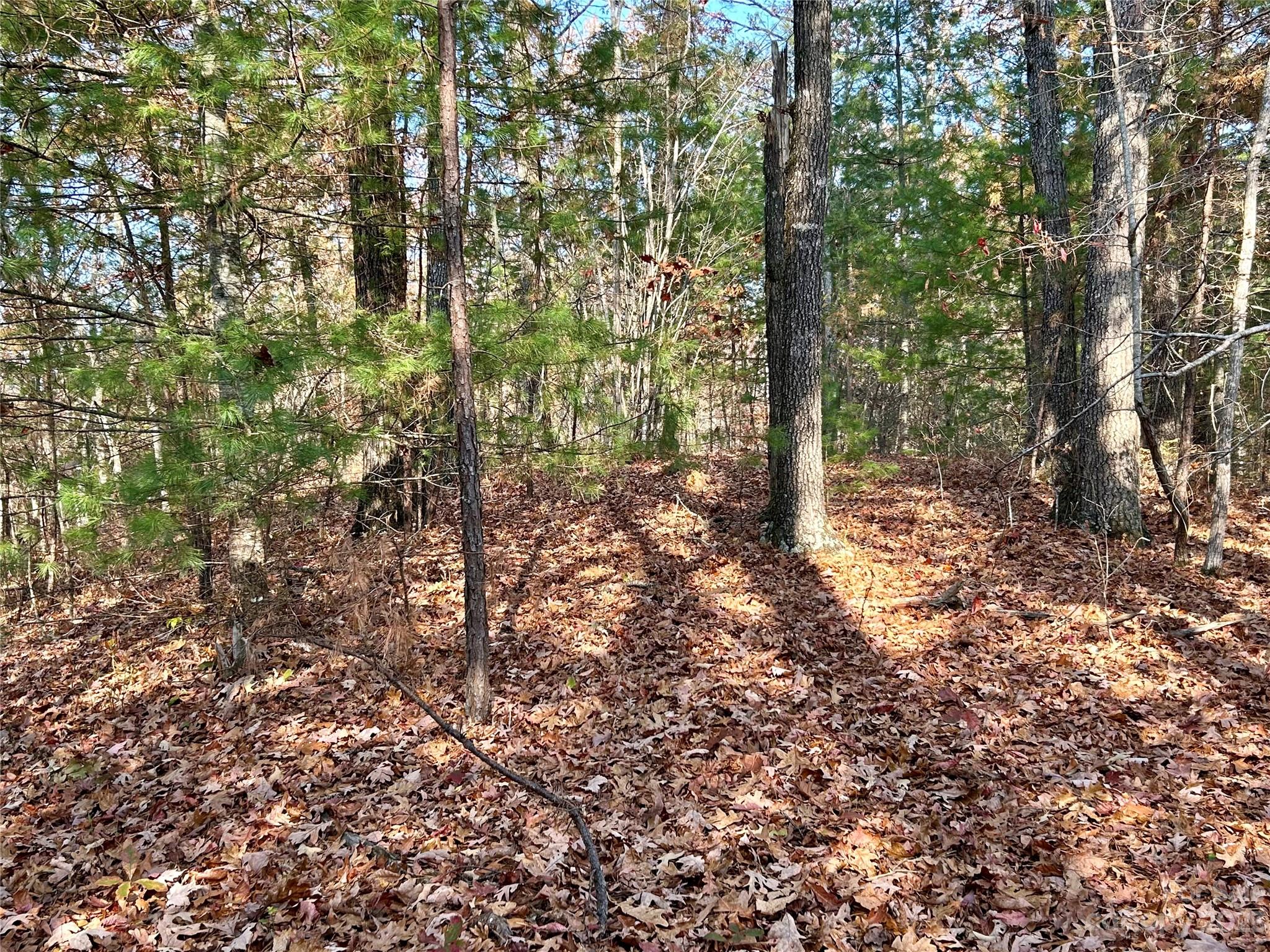 Fontana Lake Estates - Land