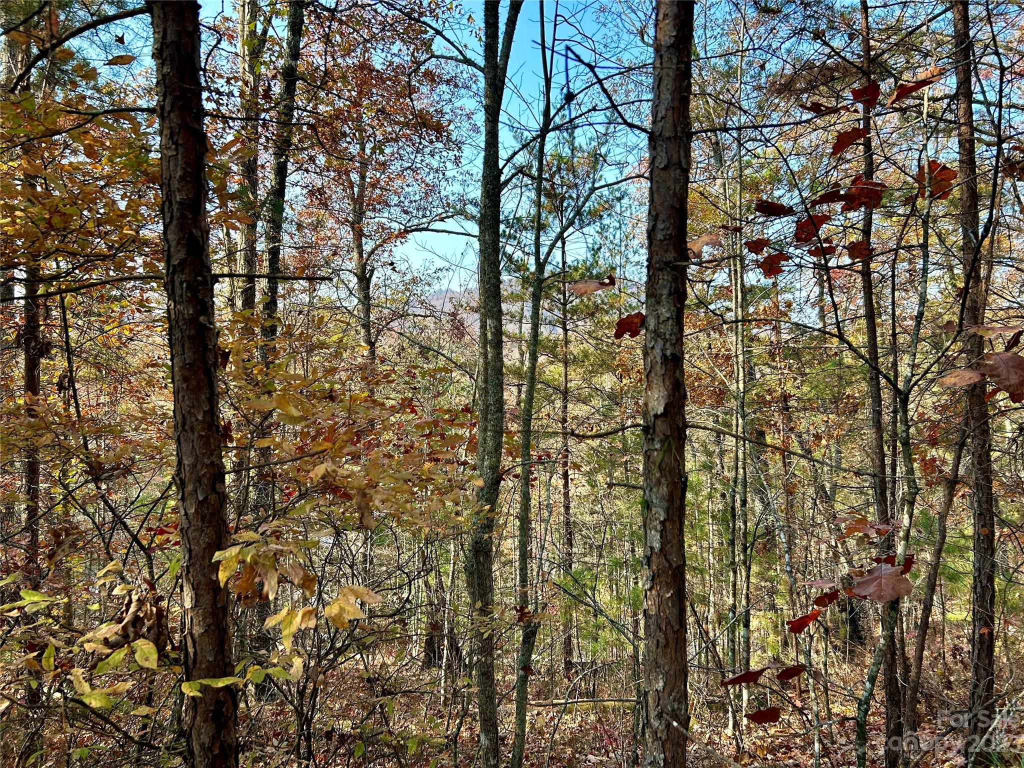Fontana Lake Estates - Land