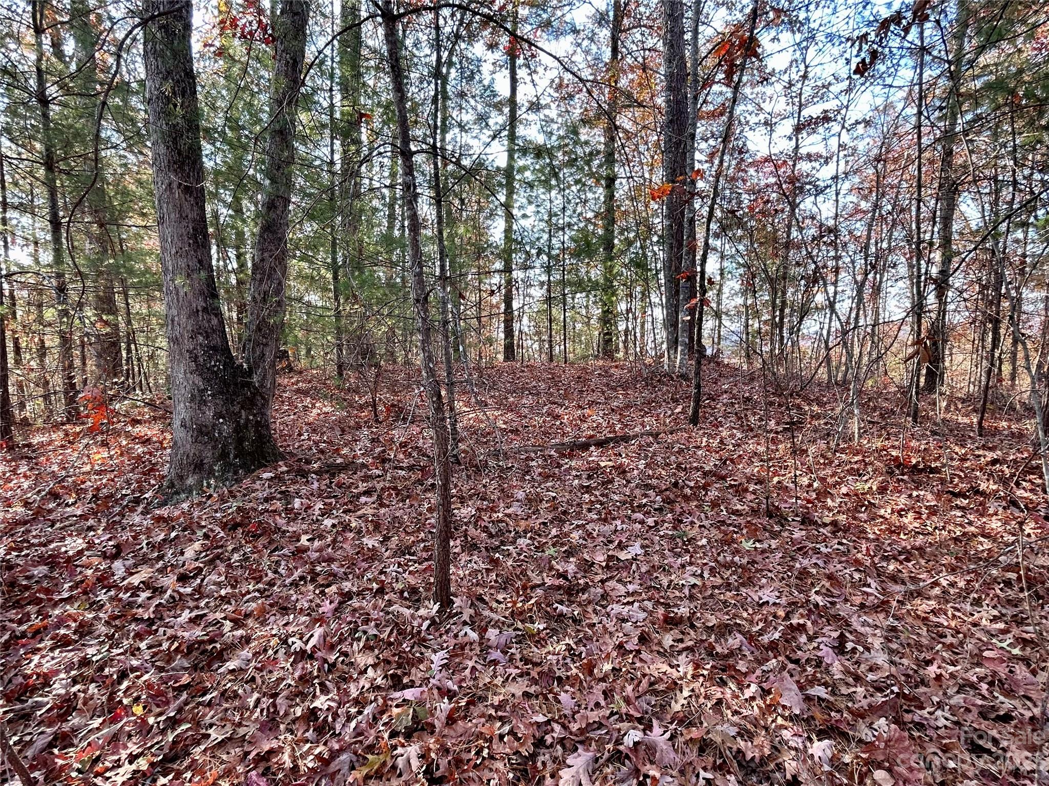 Fontana Lake Estates - Land