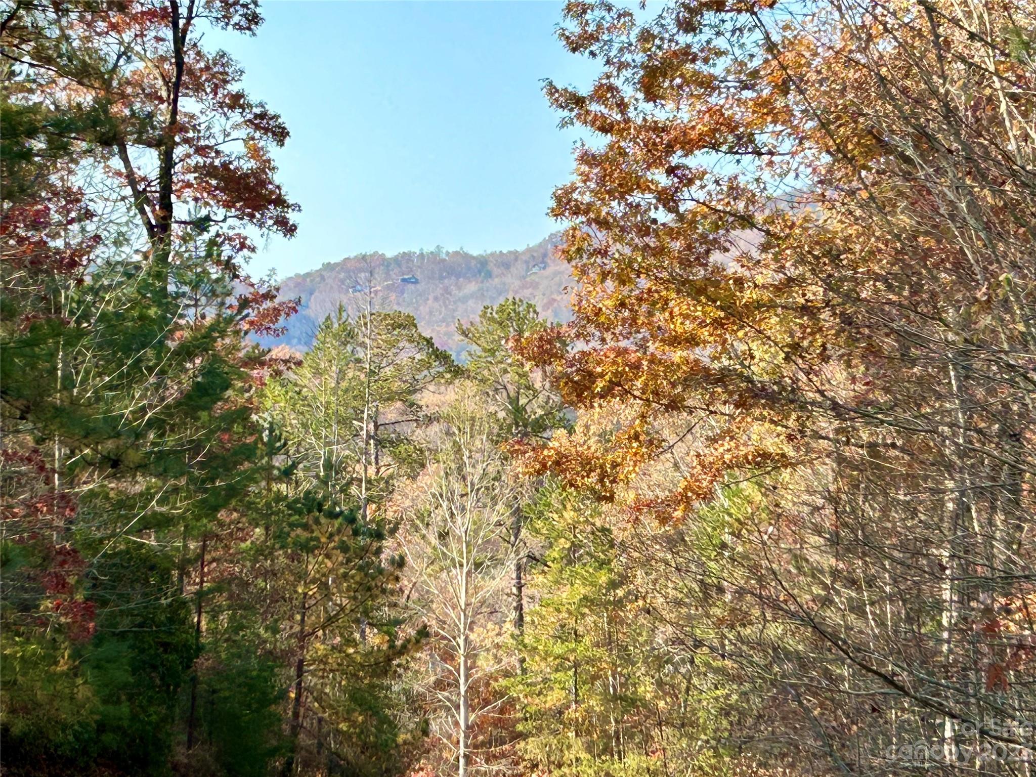 Fontana Lake Estates - Land