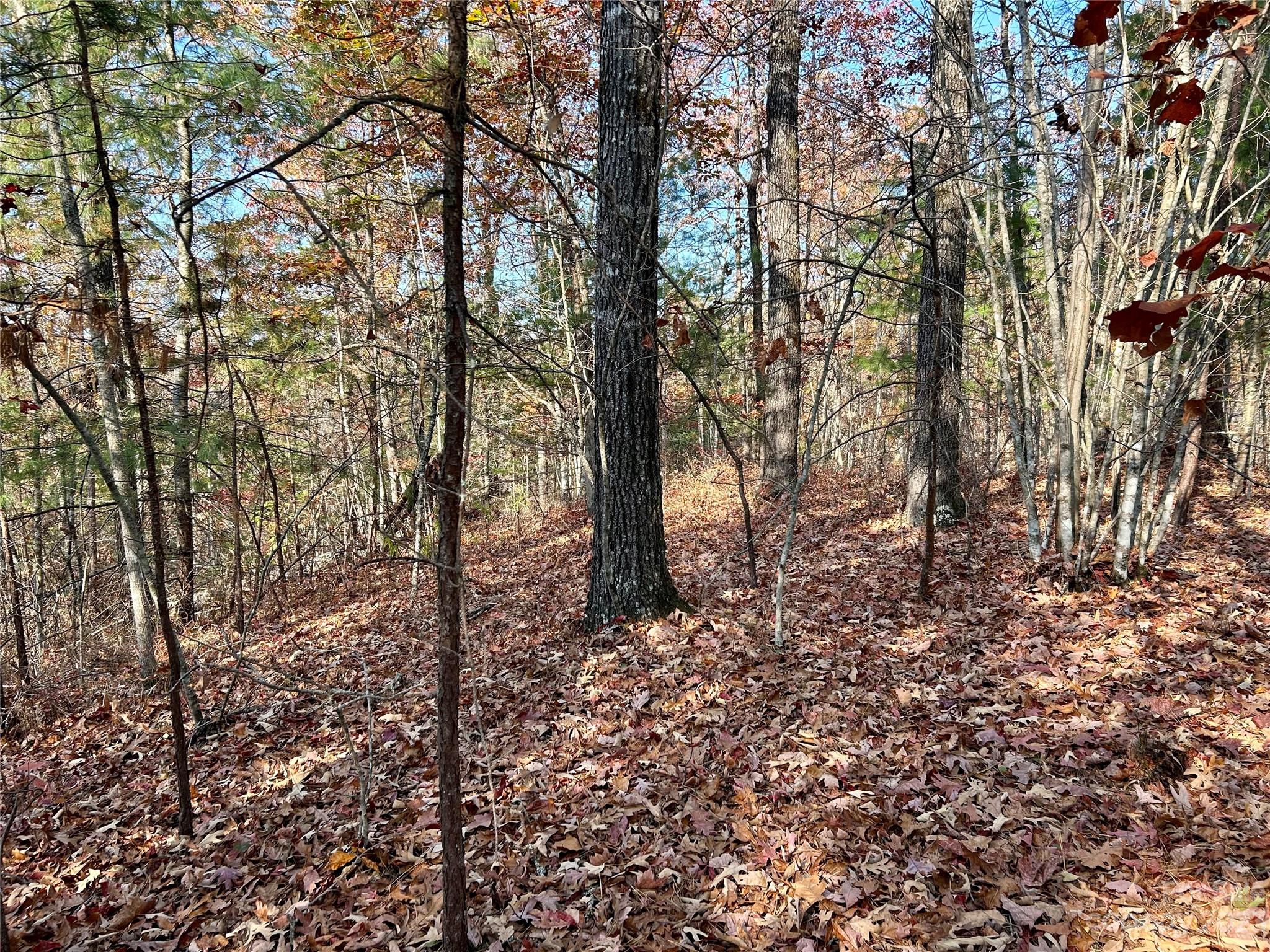 Fontana Lake Estates - Land