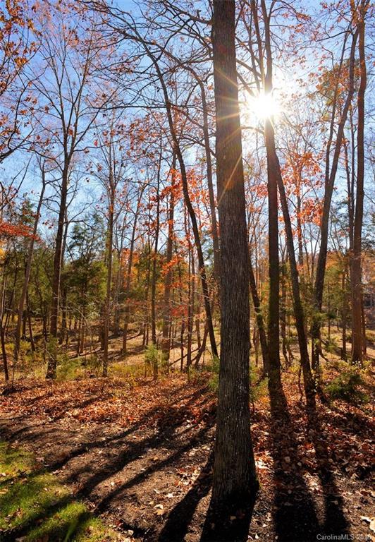 Seven Oaks - Residential