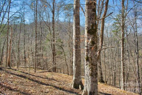 0 Cross Creek Drive 143 Rutherfordton NC 28139