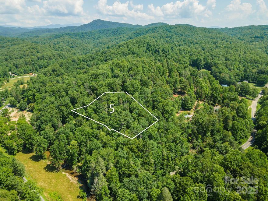 Discover this remarkable opportunity to own open-use mountain acreage in the Blue Ridge Mountains. This property offers privacy and breathtaking natural beauty located across from the Broad River. GPS location is Roy's Lane off Old Fort Rd.