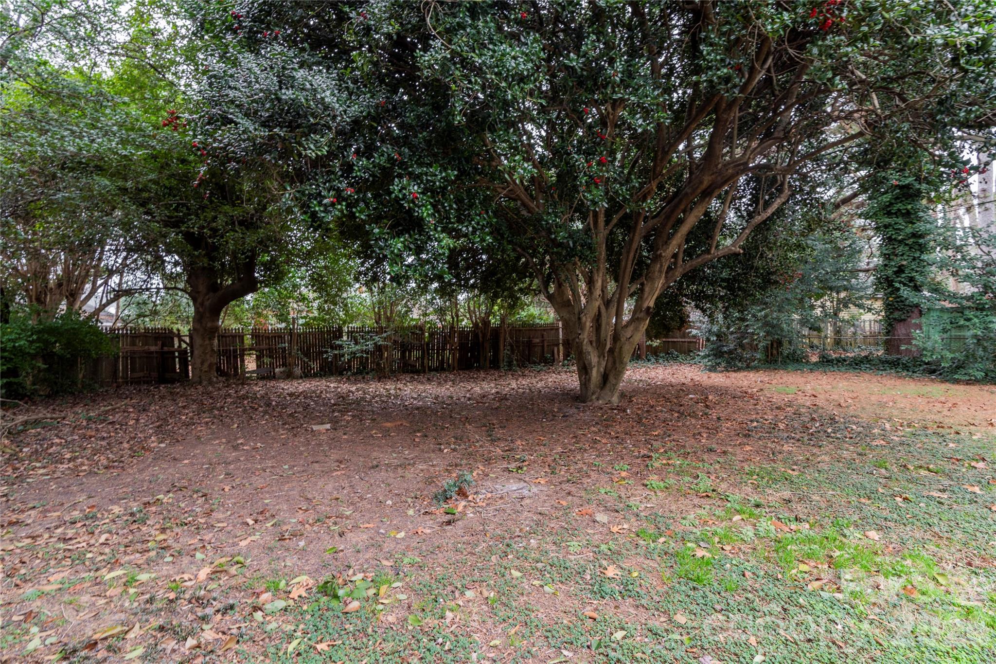 Ashley Park - Residential