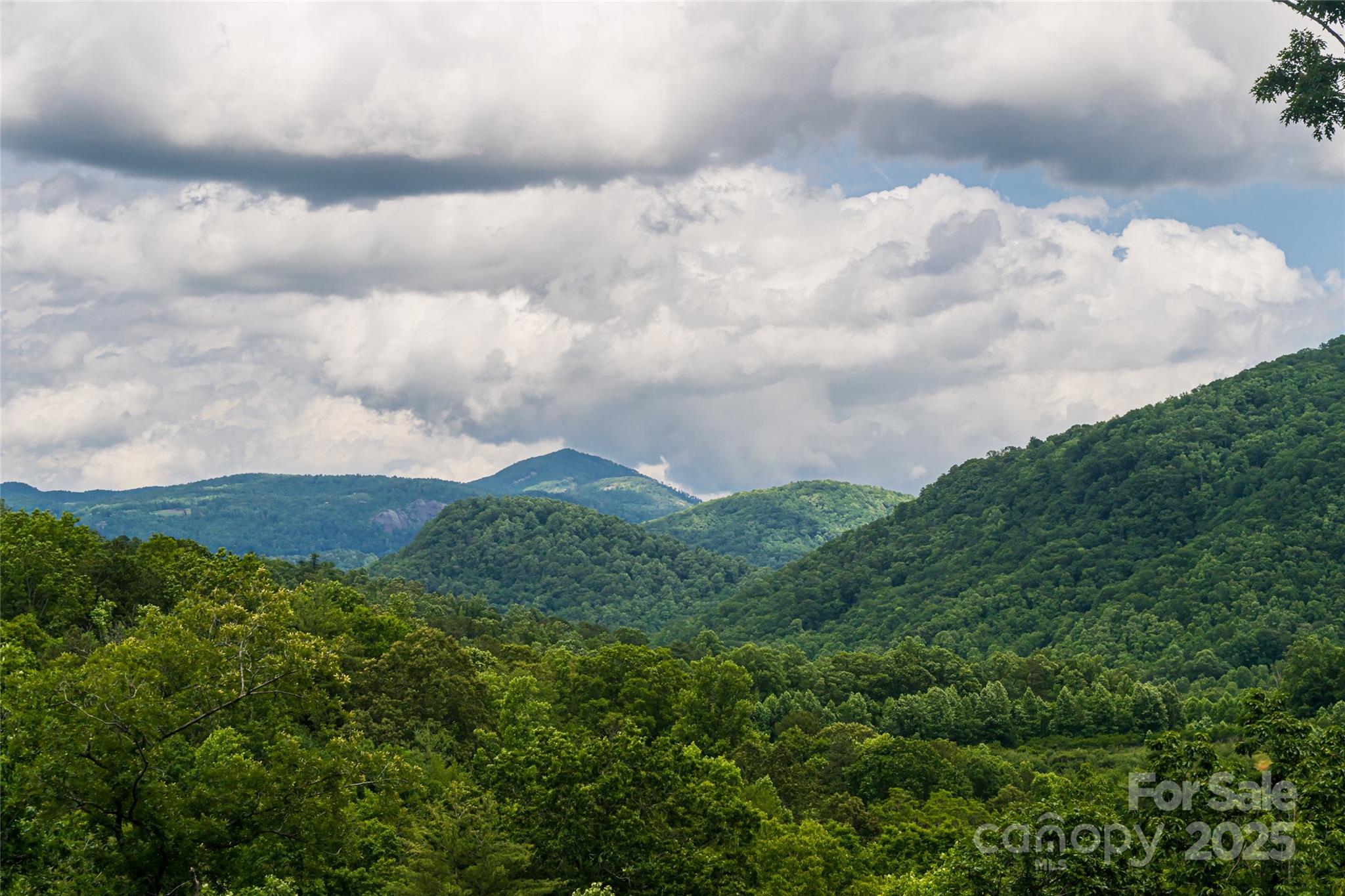 Old Orchard - Residential